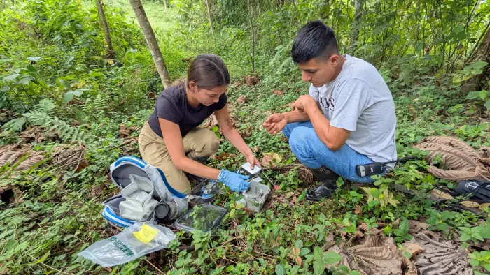 Researchers setting up a VOC detector in the field