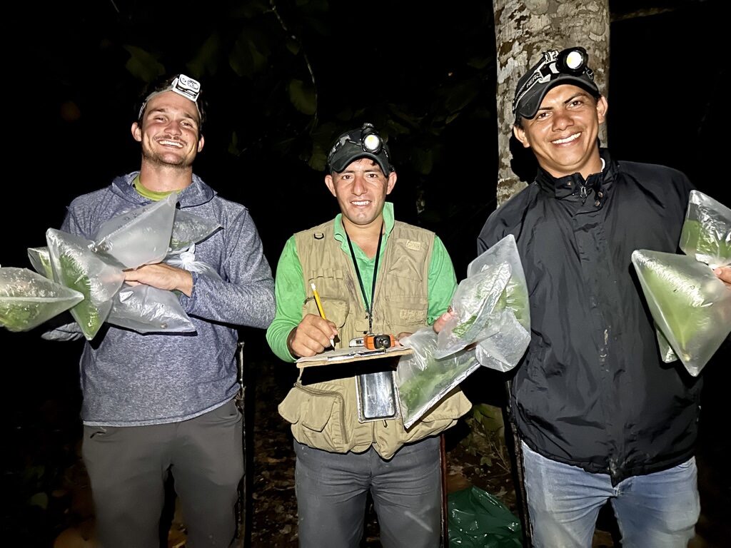 Amphibian Reforestation Monitoring
