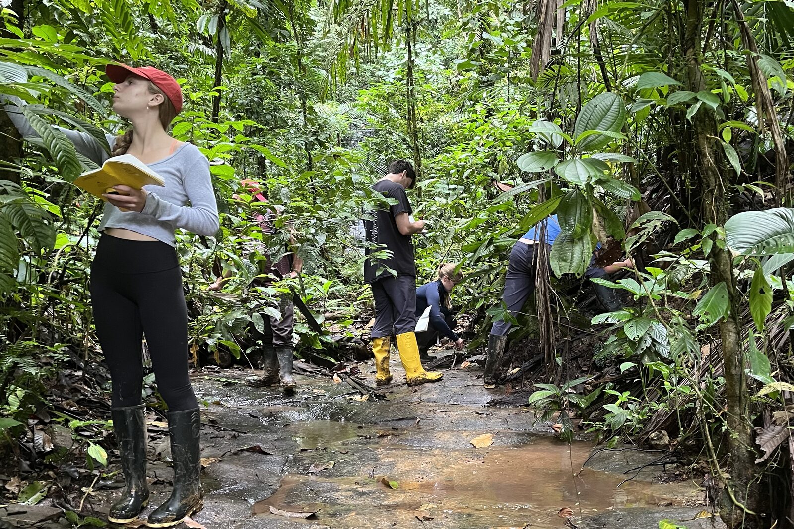 Thermal Ecology of Herpetofauna and Birds
