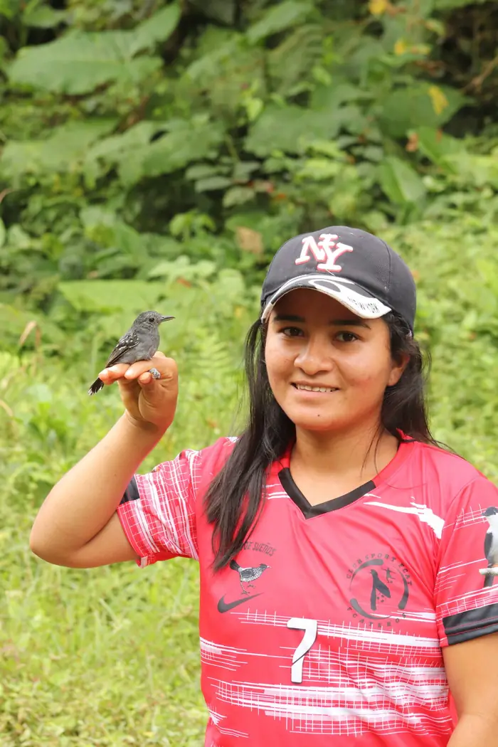 Avian Seed Dispersal and Restoration