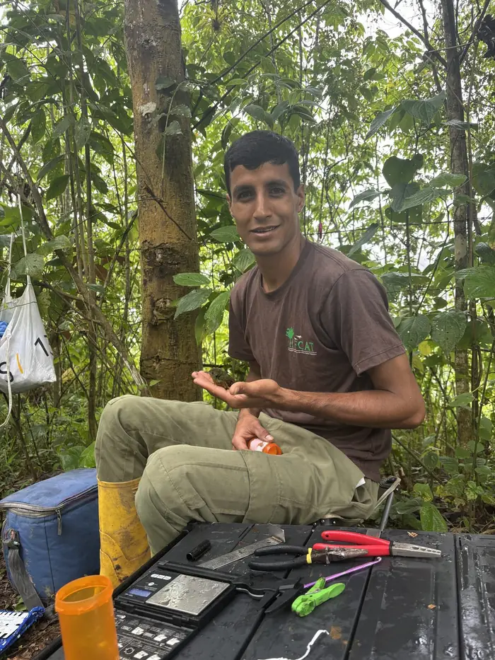 Avian Seed Dispersal and Restoration