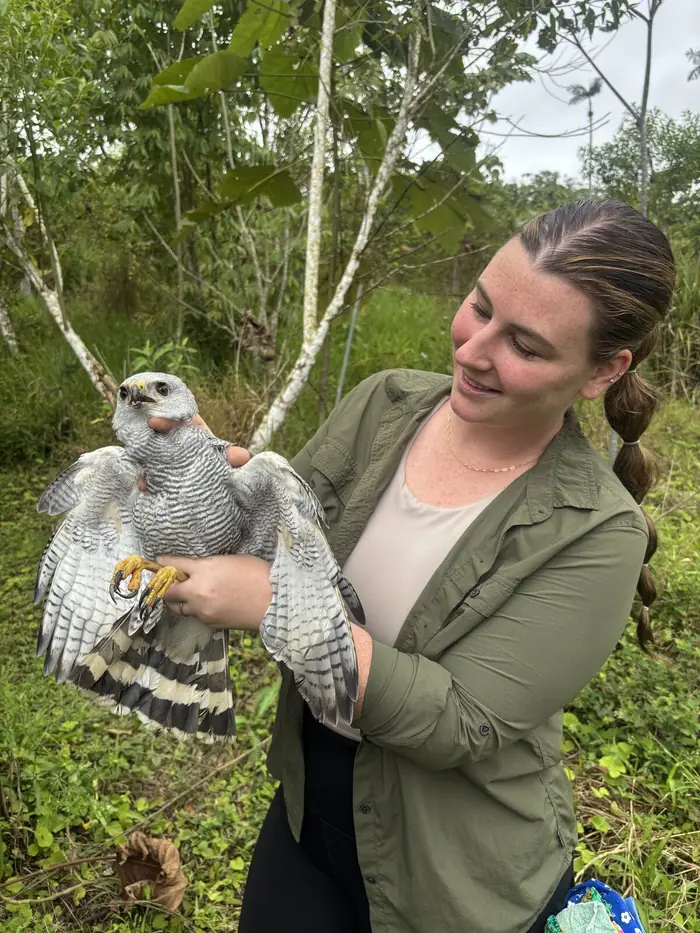 Avian Seed Dispersal and Restoration