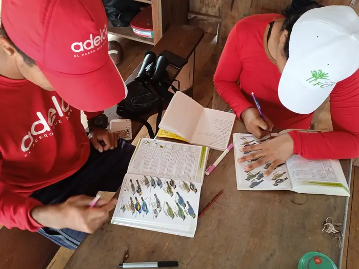 Learning bird identification