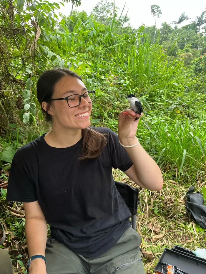 Martha holding an adult male manakin during a mist netting session