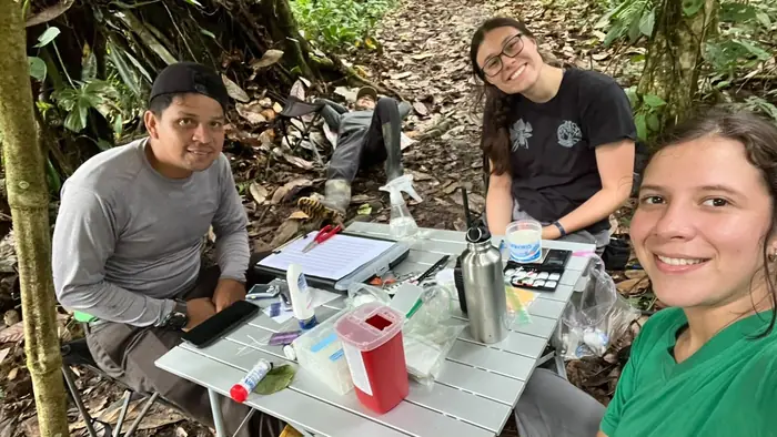 Jairo, Jorge, Martha, and Belén relaxing at the banding table between net checks during a mist netting session