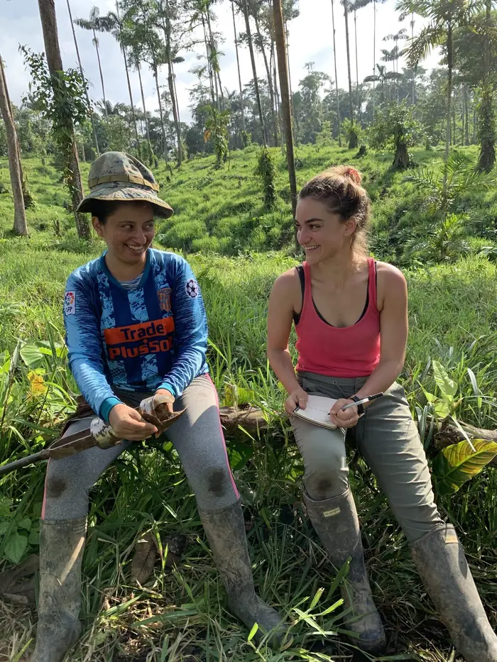 Soil, Root and Microbial Responses to Reforestation