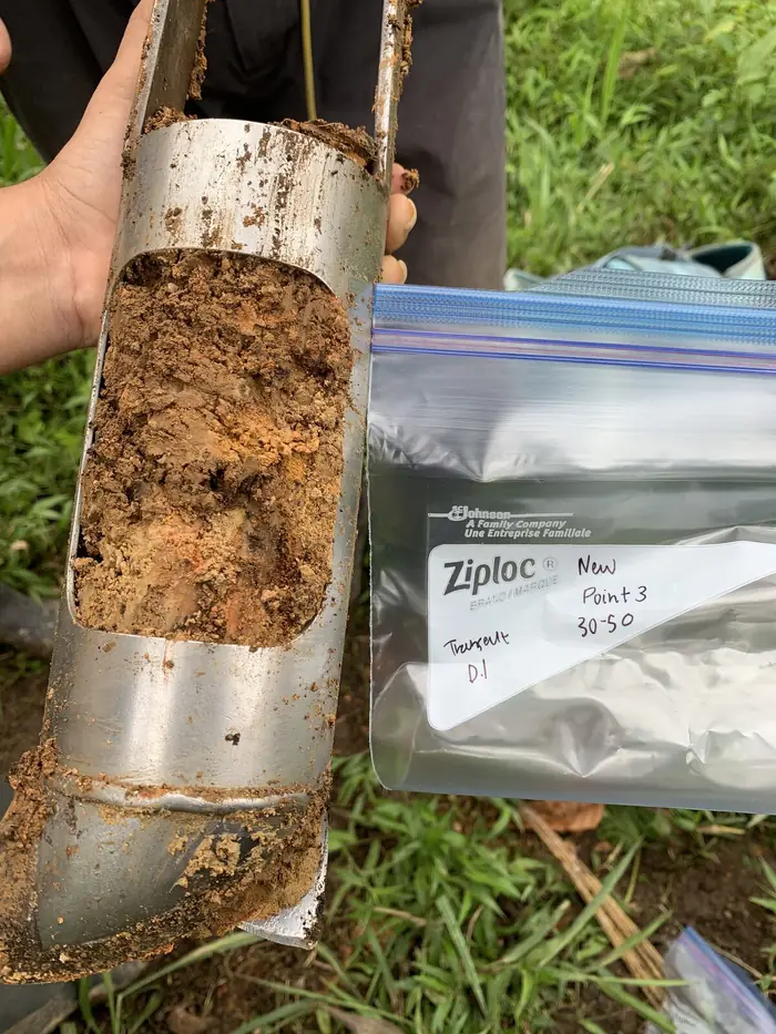 Soil, Root and Microbial Responses to Reforestation