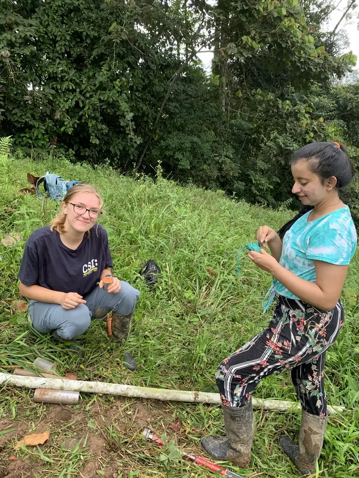 Soil, Root and Microbial Responses to Reforestation