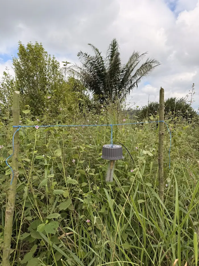 A passive air sampler hanging from a line strung between two stakes at one of the 50 sampling sites